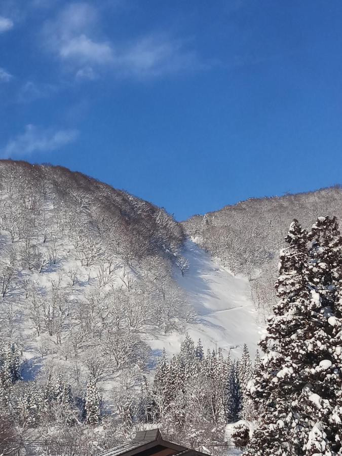 Kagura Mitsumata Cottage Yuzawa  Bagian luar foto